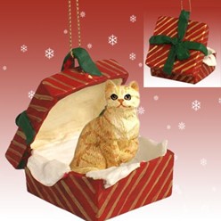 Red Tabby Cat Gift Box Christmas Ornament