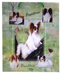 Papillon Gift Bag