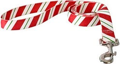 Peppermint Stick Leash