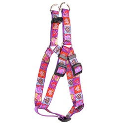 Crazy Hearts Step-In Harness