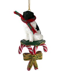 Landseer Candy Cane Christmas Ornament