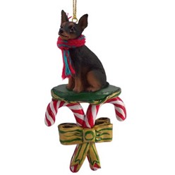 Miniature Pinscher Candy Cane Christmas Ornament