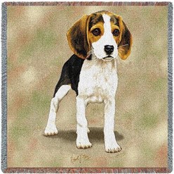 Beagle Puppy Throw