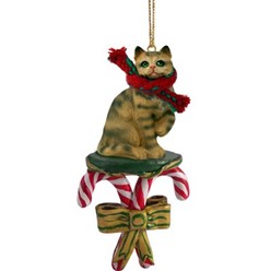 Candy Cane Brown Tabby Christmas Ornament