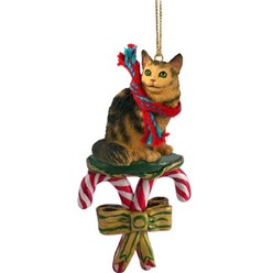 Candy Cane Maine Coon Christmas Ornament-click for more breed colors