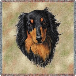 Dachshund Black Longhaired Throw