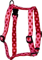 Valentine Polka Harness