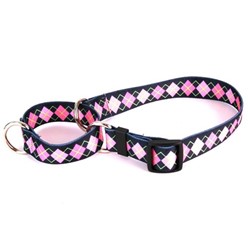 Argyle Martingale Collar