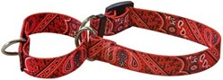 Bandana Print Martingale Collar- click for more colors