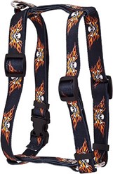 Flaming Skulls Harness