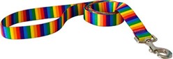 Rainbow Stripes Leash