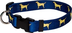 Yellow Labs Collar