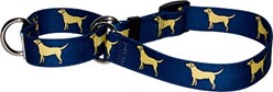Yellow Labs Martingale Collar