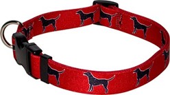 Black Labs Collar