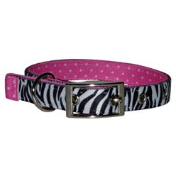 Uptown Black Zebra Buckle Collar