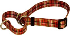 Tartan Martingale Collar