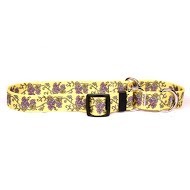 Grapevine Martingale Collar