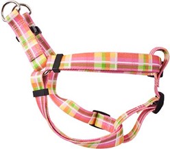 Madras Step-In Harness