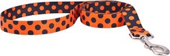 Halloween Polka Dot Leash