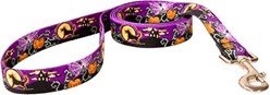 Scary Night Halloween Leash