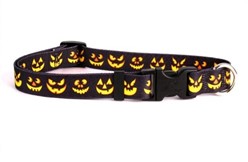 Jack O'Lantern Collar