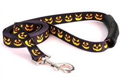 Jack O'Lantern EZ Grip Leash