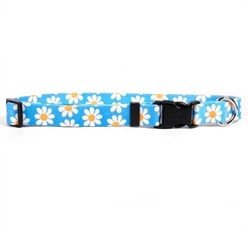 Blue Daisy Collar