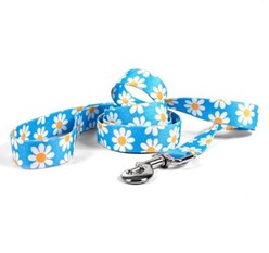 Blue Daisy Leash