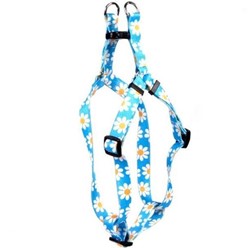 Blue Daisy Step in Harness