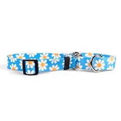 Blue Daisy Martingale Collar