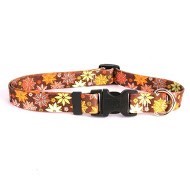 Autumn Flowers Collar