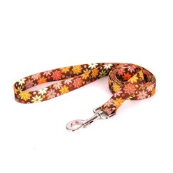 Autumn Flowers Leash