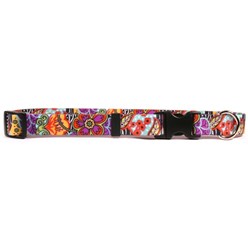 Amazon Floral Collar