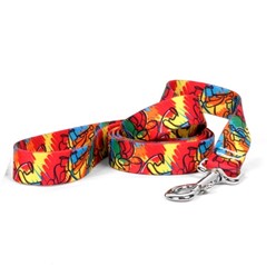 Jazz Paint Leash