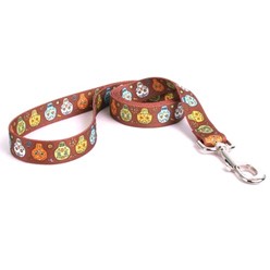 Candy Skulls Leash