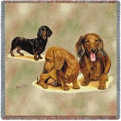 Dachshund Puppies Throw