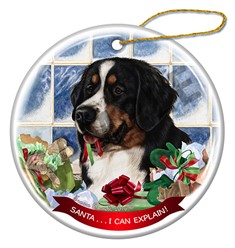 Bernese Mountain Dog Santa I Can Explain Christmas Ornament