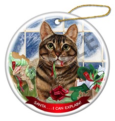 Brown Tabby Santa I Can Explain Cat Christmas Ornament