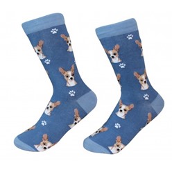 Chihuahua Fawn Pet Lover Socks