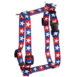 Colonial Stars Harness