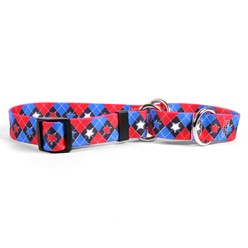 American Argyle Martingale Collar