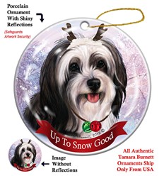 Tibetan Terrier Up to Snow Good Christmas Ornament- click for more breed colors