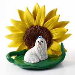Maltese Sunflower Dog Breed Figurine
