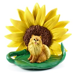 Pomeranian Sunflower Dog Breed Figurine- click for more breed colors
