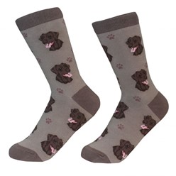Labrador Chocolate Pet Lover Socks