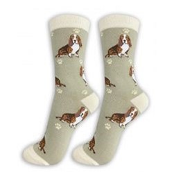 Basset Hound Happy Tails Socks