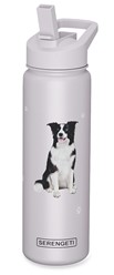 Border Collie Serengeti Insulated Water Bottle