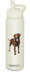 Chocolate Labrador Retriever Serengeti Insulated Water Bottle