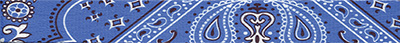 Blue Bandana Pattern