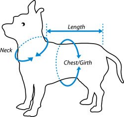 How to measure your pet